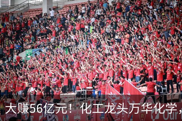 大赚56亿元！化工龙头万华化学，第三季度净利大增84%，股价较年内高点回撤近三成