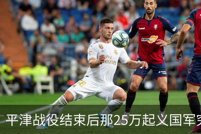平津战役结束后那25万起义国军究竟去了哪里？