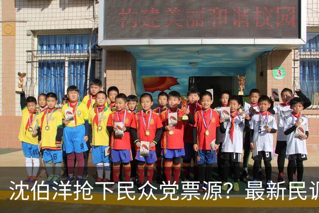 沈伯洋抢下民众党票源？最新民调揭19％小草支持动向