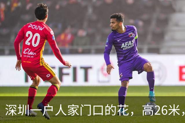 深圳一户人家门口的花，高26米，直接爬上9层楼，太壮观了