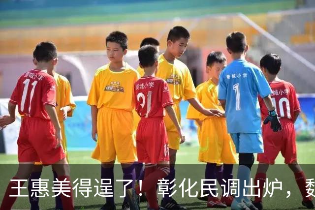 王惠美得逞了！彰化民调出炉，魏平政支持率惊人，赵少康趁机作乱