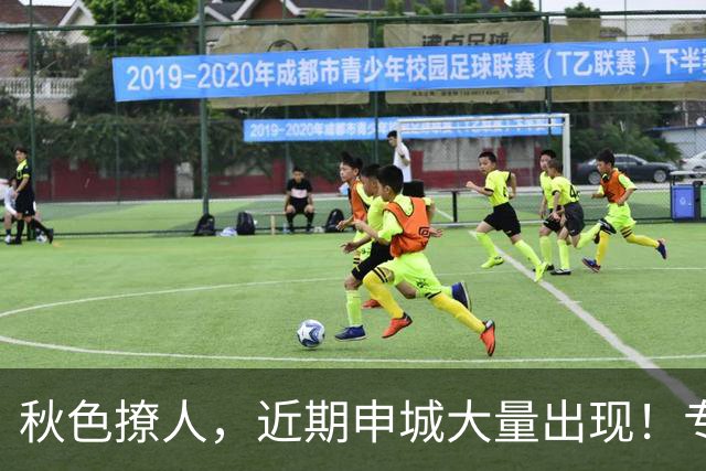 秋色撩人，近期申城大量出现！专家提醒：别摘、别捡、别吃