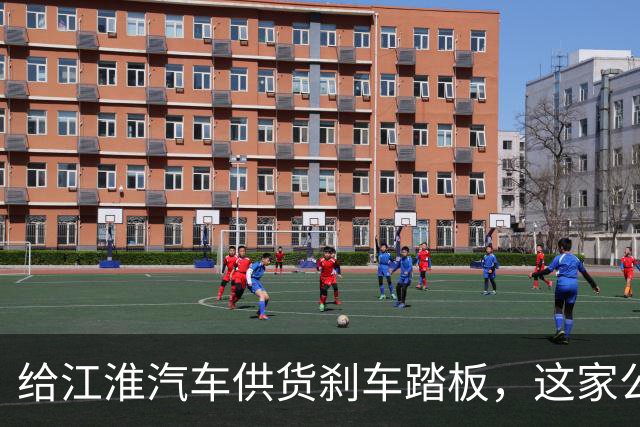 给江淮汽车供货刹车踏板，这家公司正在冲刺IPO
