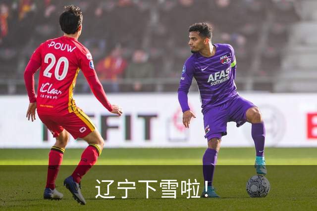 辽宁下雪啦！