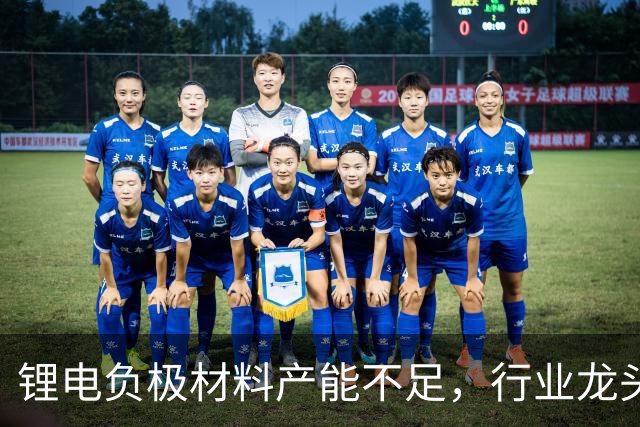 锂电负极材料产能不足，行业龙头杉杉股份拟定增募资不超40亿元加码产能等，海螺集团将全额认购