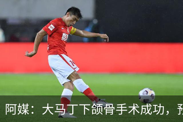 阿媒：大马丁下颌骨手术成功，预计将休战一个半月