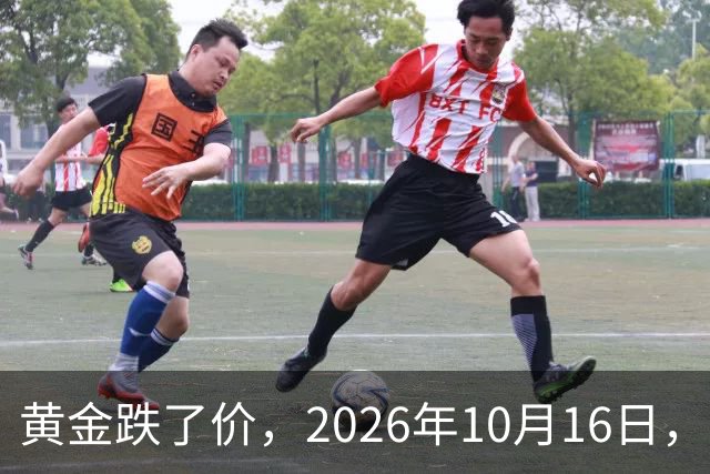 黄金跌了价，2026年10月16日，中国黄金最新价格，人民币黄金最新价格