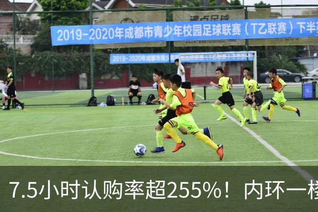 7.5小时认购率超255%！内环一楼盘触发积分摇号